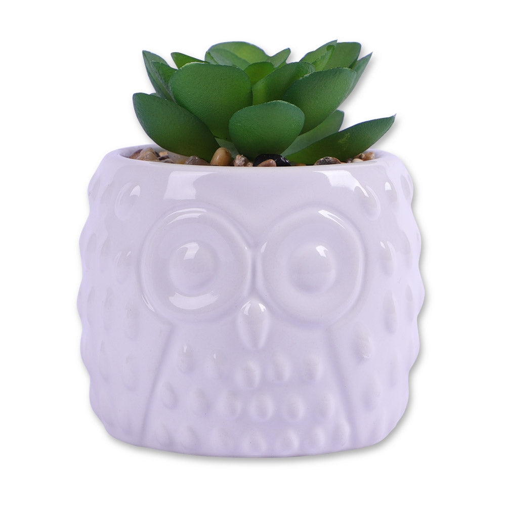 Owl Pot With Succulent Small Leaf 329437-OWL-POT-WITH-SUCCULENT-SMALL-LEAF