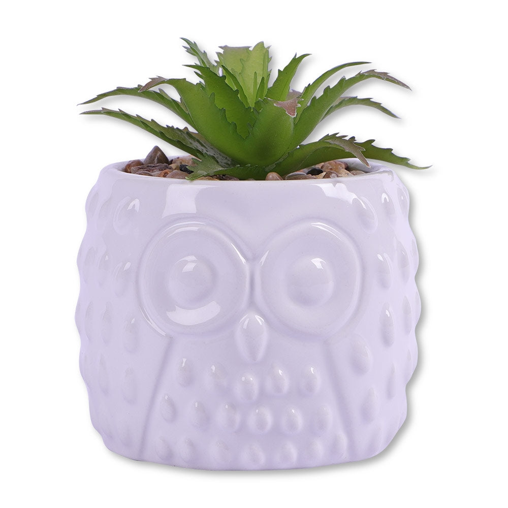Owl Pot With Succulent 329437-OWL-POT-WITH-SUCCULENT