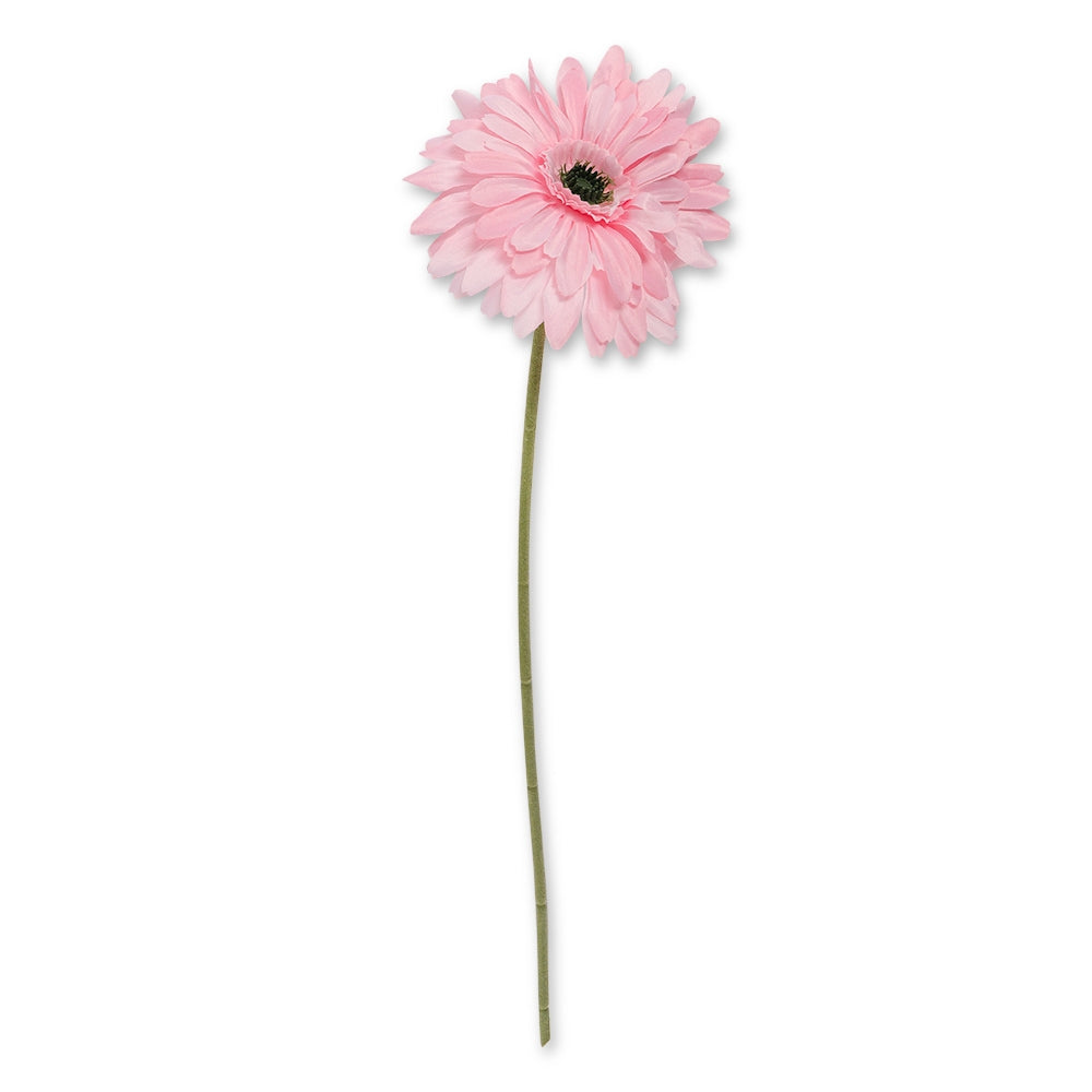 Pink Gerbera 327376-PINK