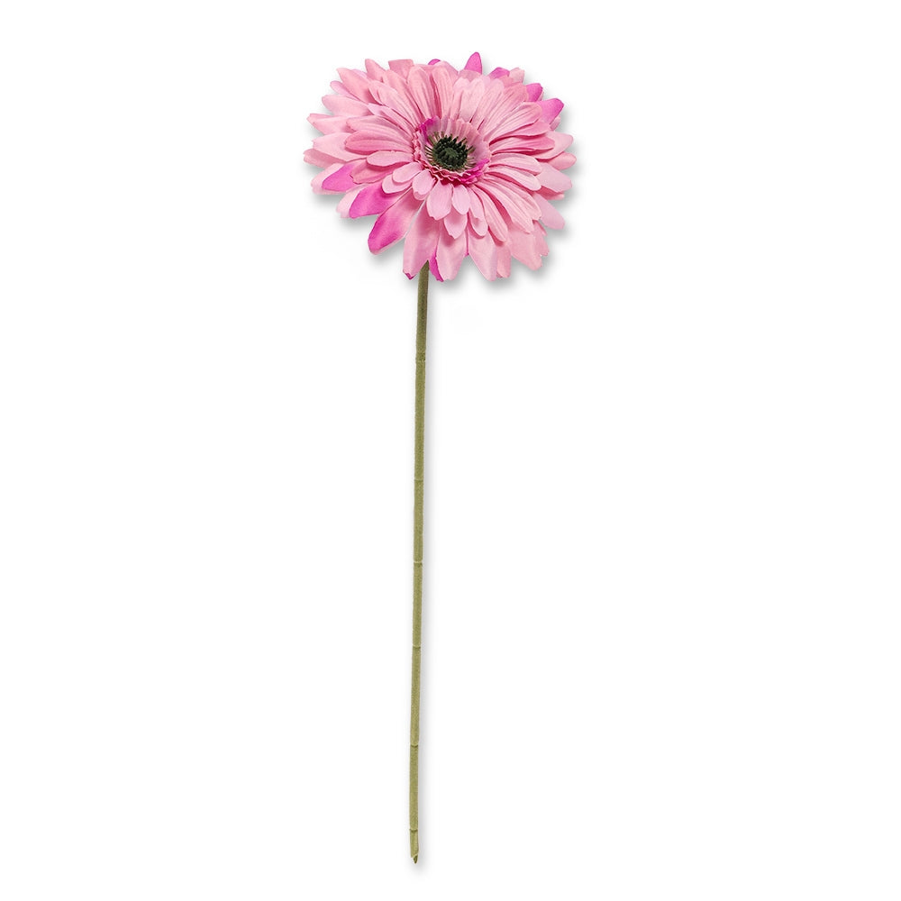 Purple Gerbera 327376-PURPLE