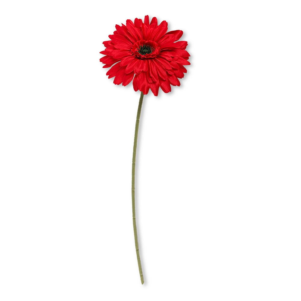 Red Gerbera 327376-RED