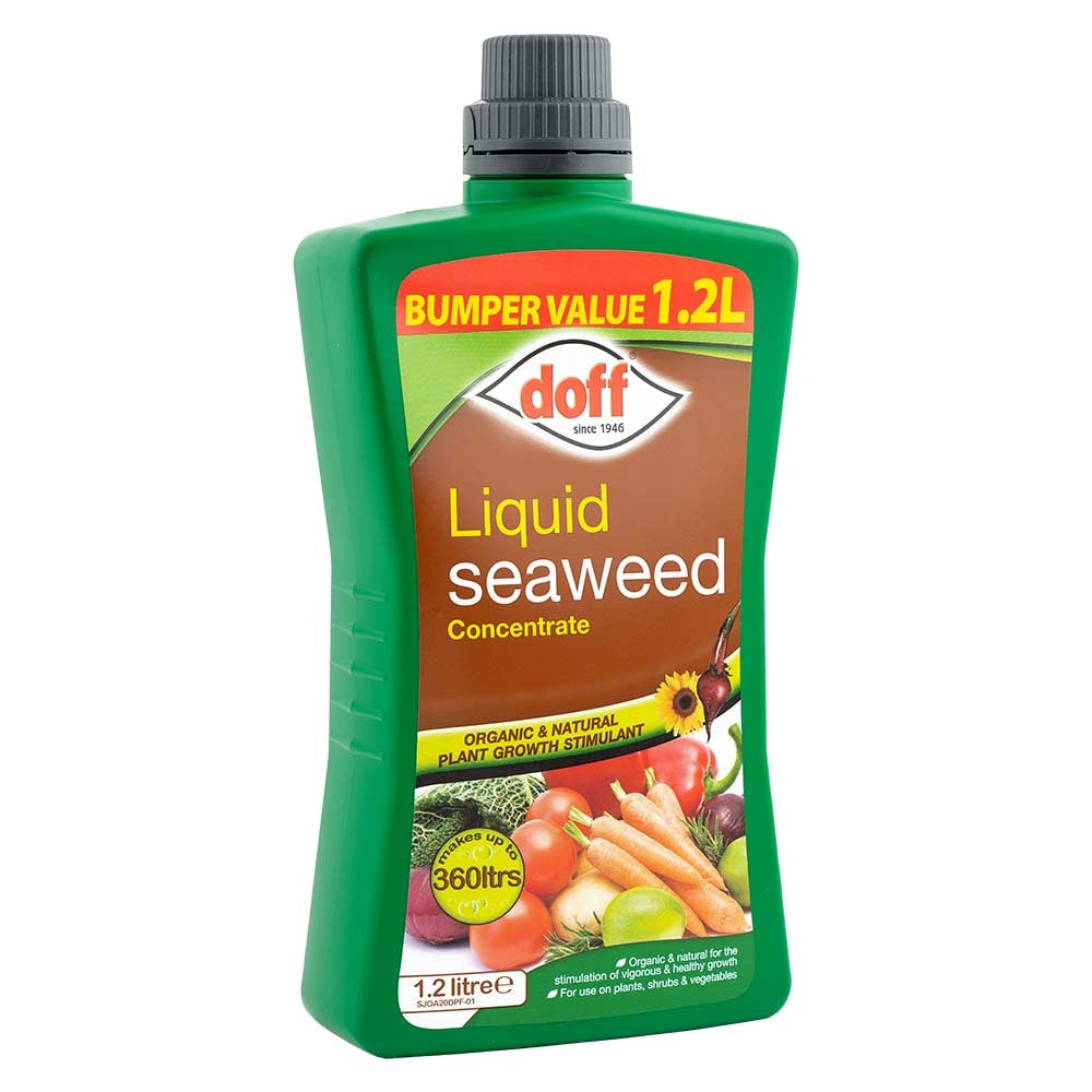 Liquid Seaweed 1.2 Litre | Poundstretcher 316763