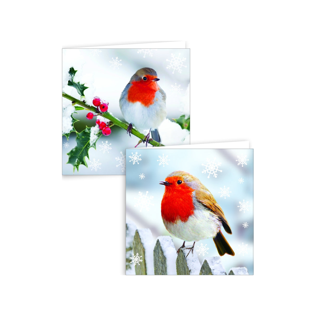 12 Pack Boxed Robin Christmas Cards | Poundstretcher 325111