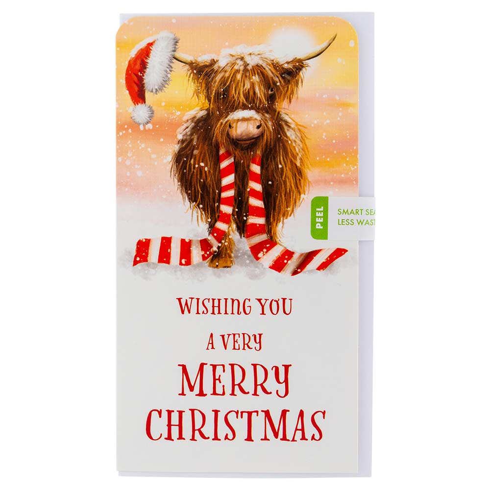 Christmas Money Wallet