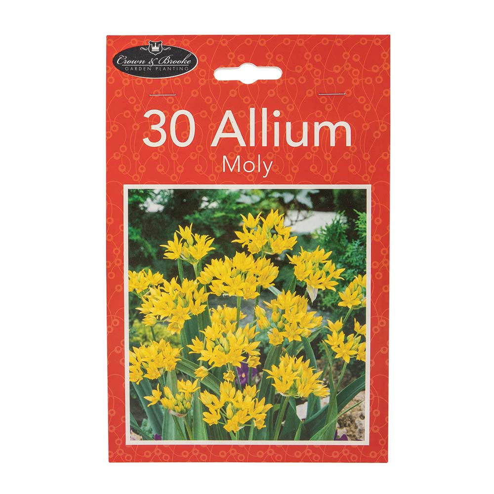 Summer Mini Bulbs