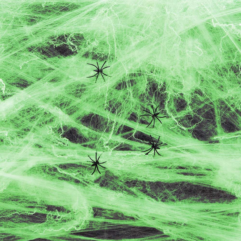 Glow In The Dark Spider Web