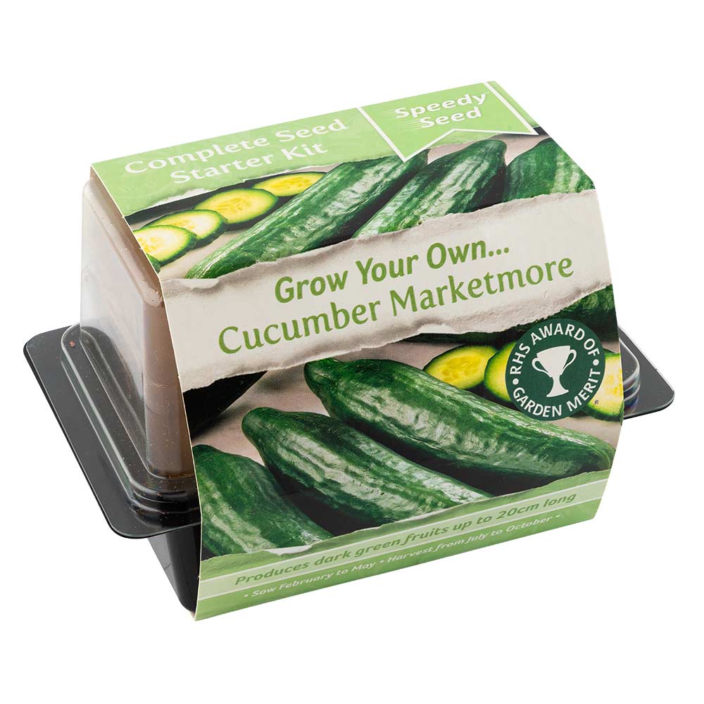 Speedy Seed Grow Your Own Lettuce Starter Kit