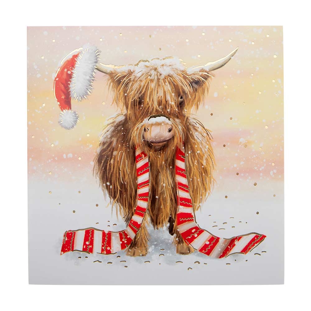 Animal Christmas Cards 10 Pack