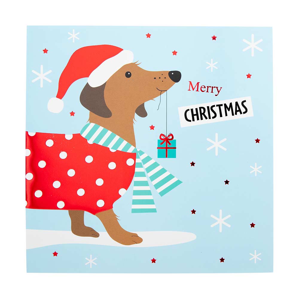 Animal Christmas Cards 10 Pack
