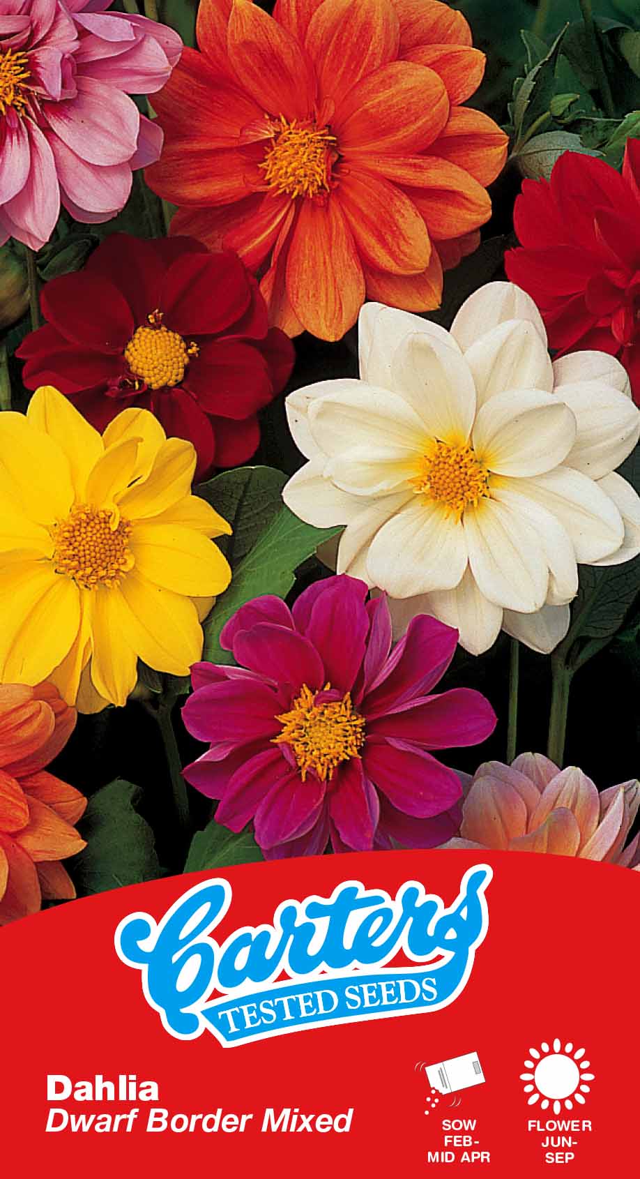 Flower Seeds Mix 247202