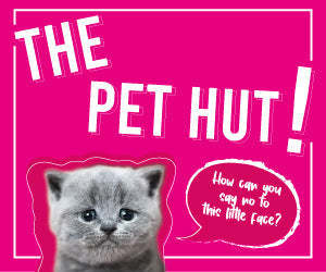 Treat Your Pet With Our Pet Hut Event Leaflet!