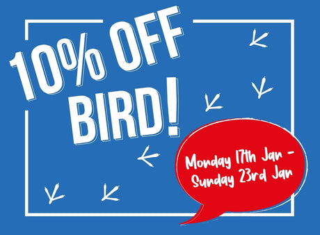 10 Great Products to Attract Wild Birds