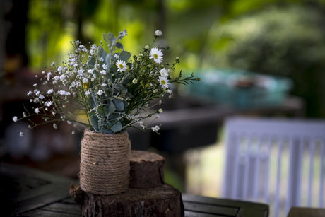 Top 10 Gardening Gifts for when you're on the Fence