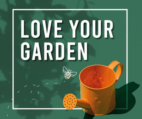 The Best Planters for Your Garden