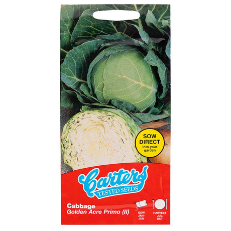 Vegetable Seeds