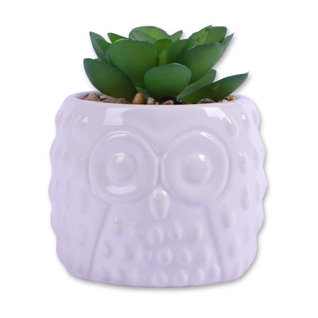 Owl Pot With Succulent Small Leaf 329437-OWL-POT-WITH-SUCCULENT-SMALL-LEAF