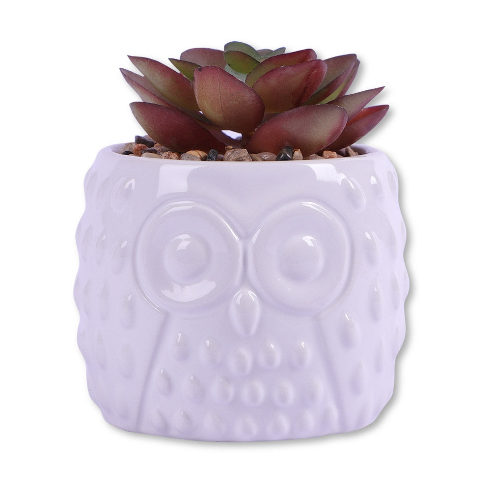 Owl Pot With Succulent Red Leaf 329437-OWL-POT-WITH-SUCCULENT-READ-LEAF