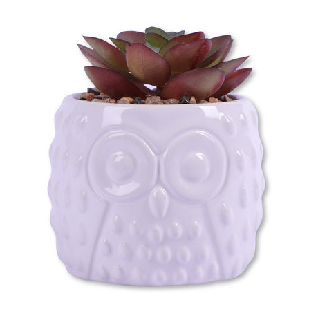 Owl Pot With Succulent Red Leaf 329437-OWL-POT-WITH-SUCCULENT-READ-LEAF