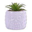 Owl Pot With Succulent 329437-OWL-POT-WITH-SUCCULENT