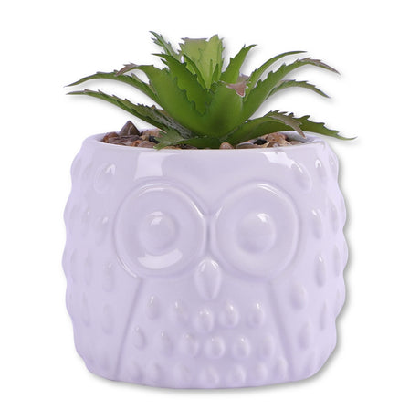 Owl Pot With Succulent 329437-OWL-POT-WITH-SUCCULENT