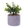 Patterned Grey Pot Plant 329792-PATTERNED-GREY-POT-PLANT