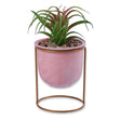 Marble Pot On Stand With Fake Succulent Pink 329438-MARBLE-POT-ON-STAND-WITH-FAKE-SUCCULENT-PINK