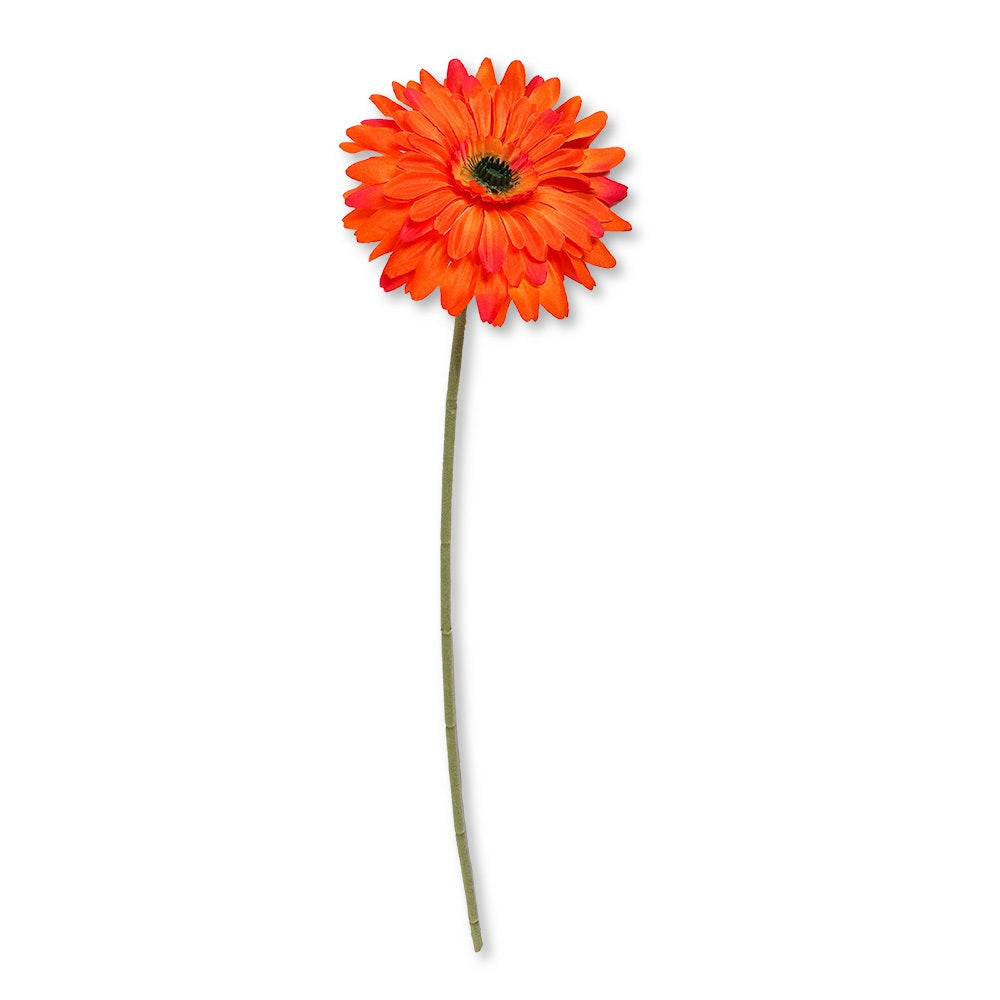 Orange Gerbera 327376-ORANGE
