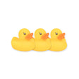 Led Ducks 316495