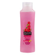 Alberto Balsam Raspberry Shampoo 350Ml | Poundstretcher 262344