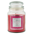 18Oz Jar Candle - Strawberries & Cream 295185
