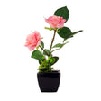 Artificial Rose In Ceramic Pot - Pink 316475-PINK