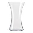 Tall Glass Vase 25 X 12Cm 317236