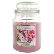 18Oz Jar Candle - Peony Blush 313082-new