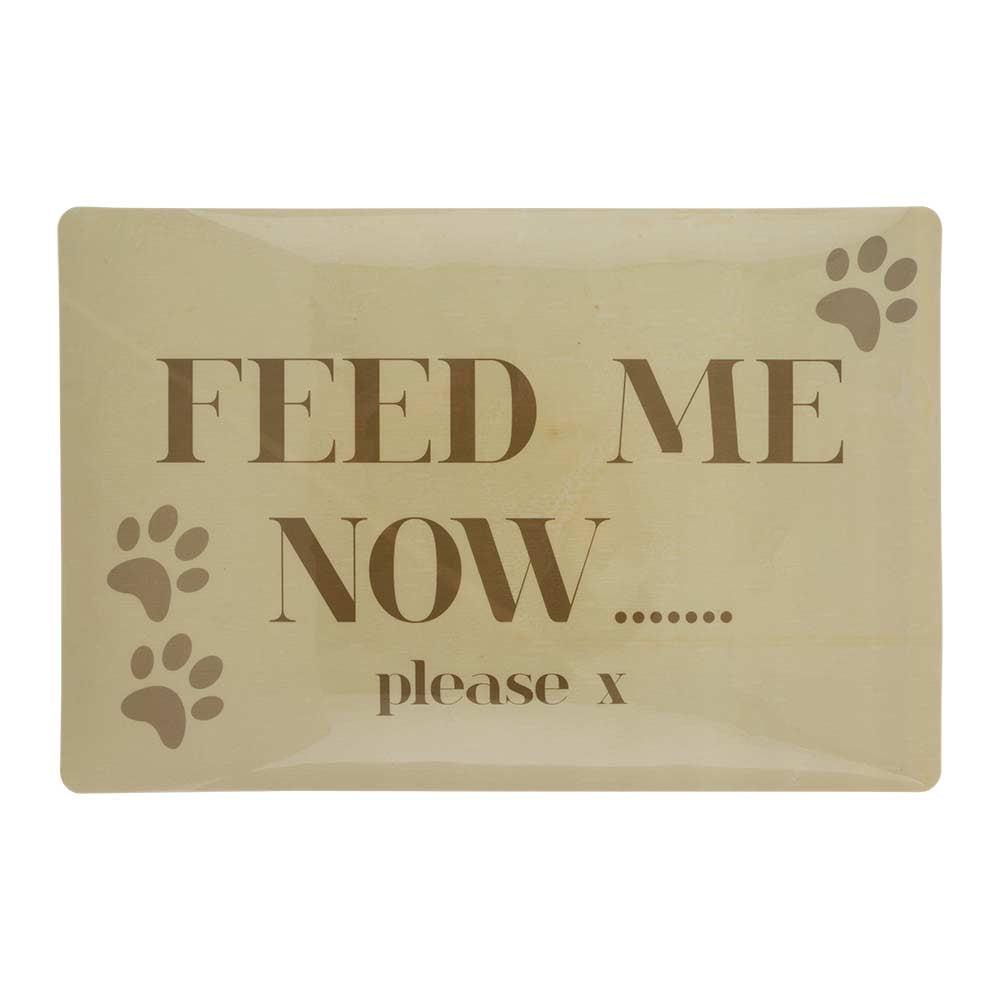 Pet Feeding Mat - 42Cm X 28Cm | Poundstretcher & Pethut 314400