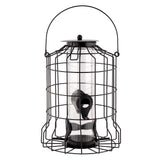 Squirrel Proof Caged Wild Bird Seed Feeder