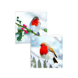 12 Pack Boxed Robin Christmas Cards | Poundstretcher 325111
