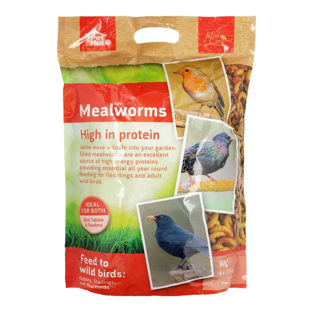 Mealworms 1Kg | Poundstretcher  326123