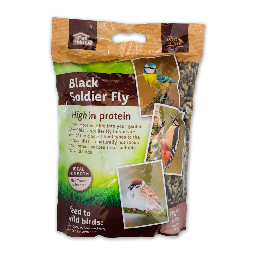 Black Soldier Fly 1Kg 332161