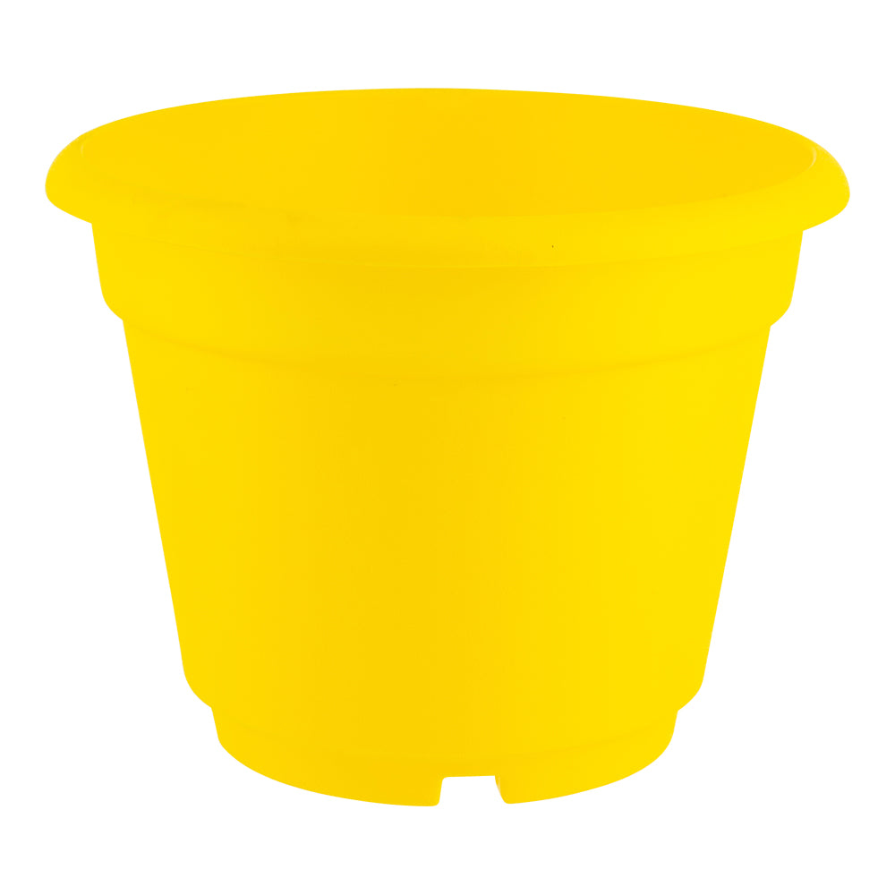 Summer Plant Pot