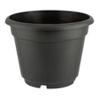 Summer Plant Pot  334994
