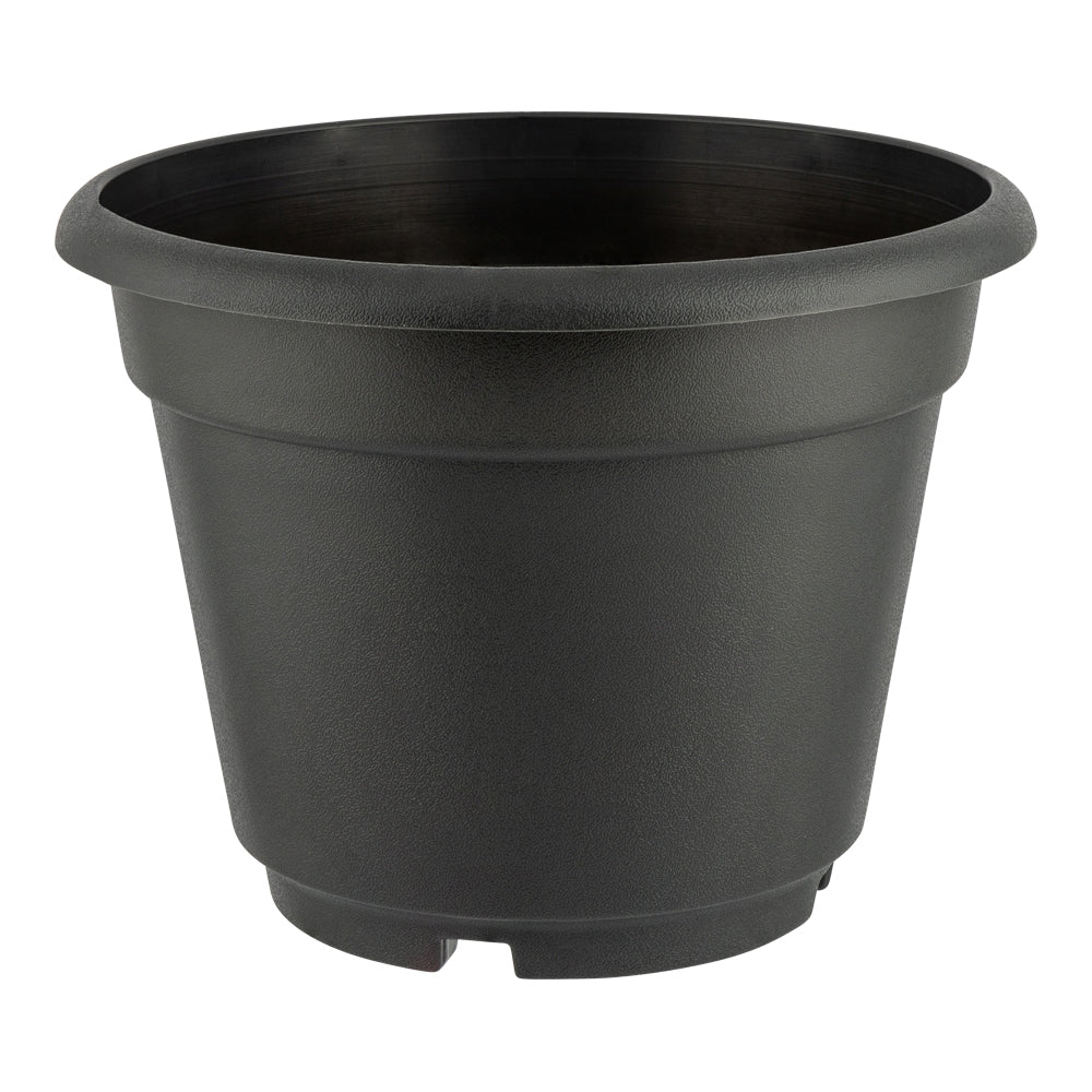 Summer Plant Pot  334994