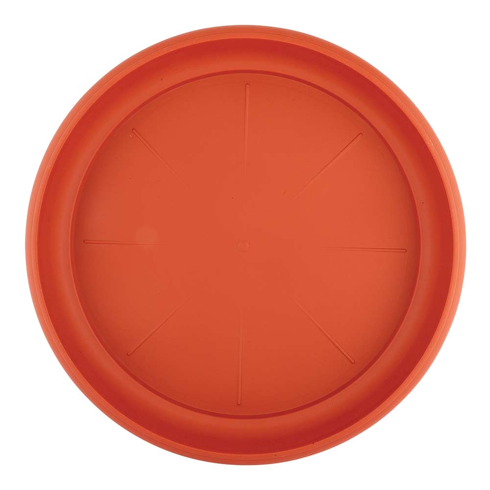 Large planter saucer in orange on a white background