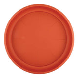 Large planter saucer in orange on a white background