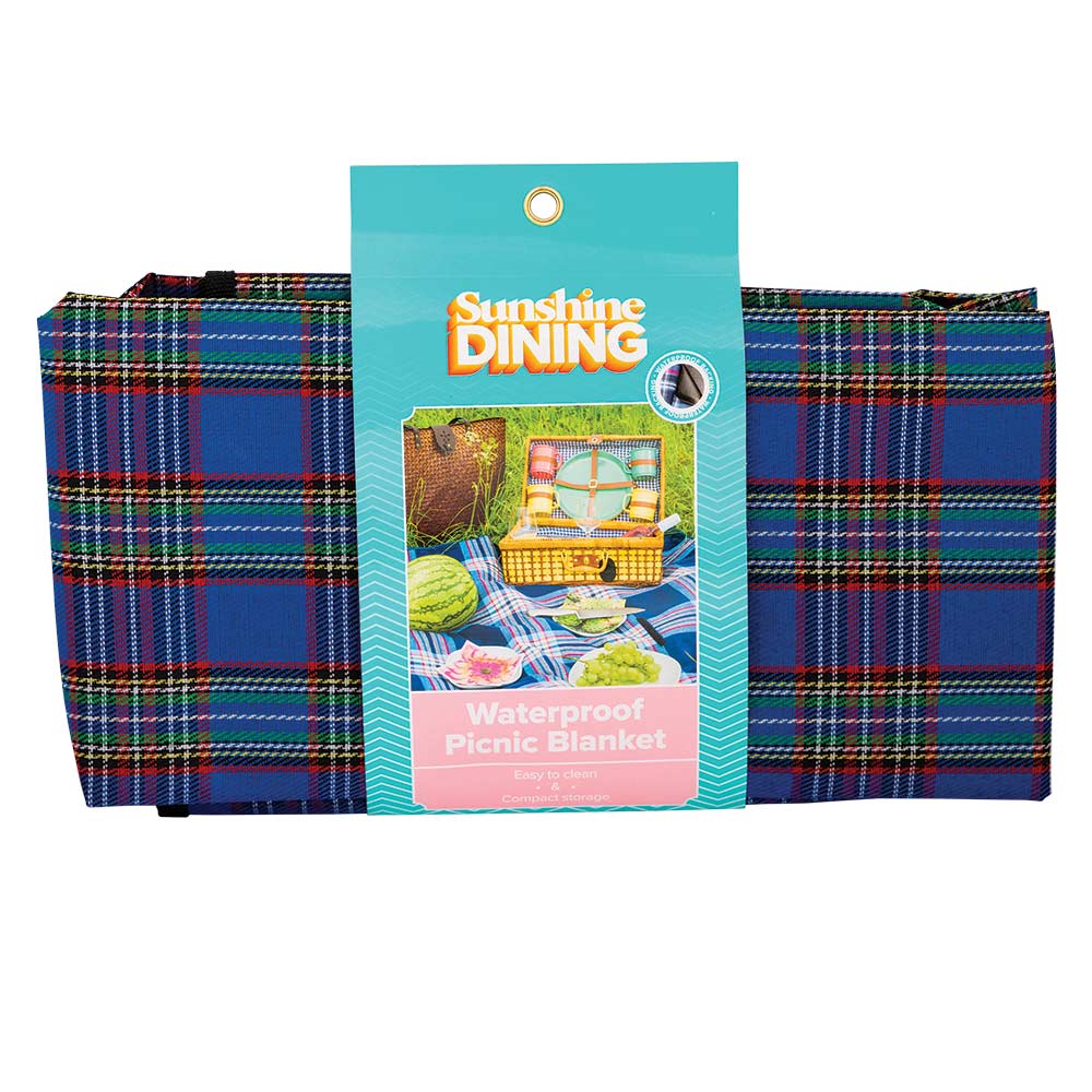 Blue Checked Picnic Mat
