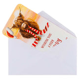 Christmas Money Wallet