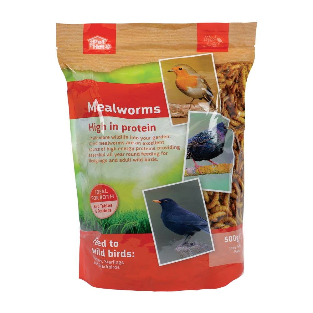 Mealworms 500G | Poundstretcher  339325