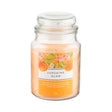 18Oz Jar Candle - Sunshine Glow 342942
