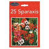 Summer Mini Bulbs