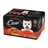Cesar Classic Terrine Wet Dog Food 150g x 8 Pack