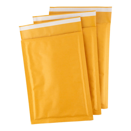 Bubble Protective Envelopes - 3 Pack 343263